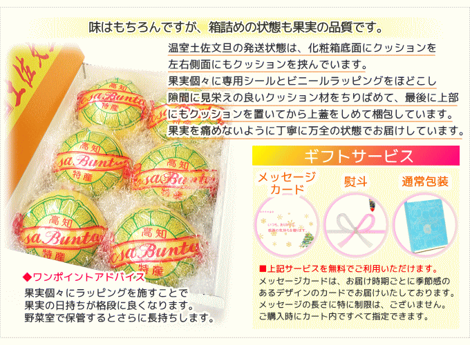 温室土佐文旦箱詰め