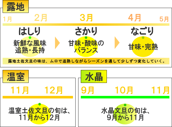 出荷時期による味の違い