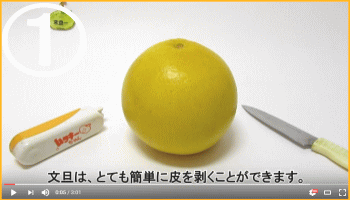 土佐文旦の食べ方１