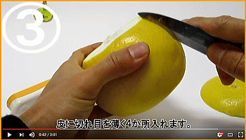 土佐文旦の食べ方３