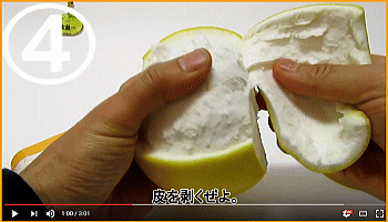 土佐文旦の食べ方４