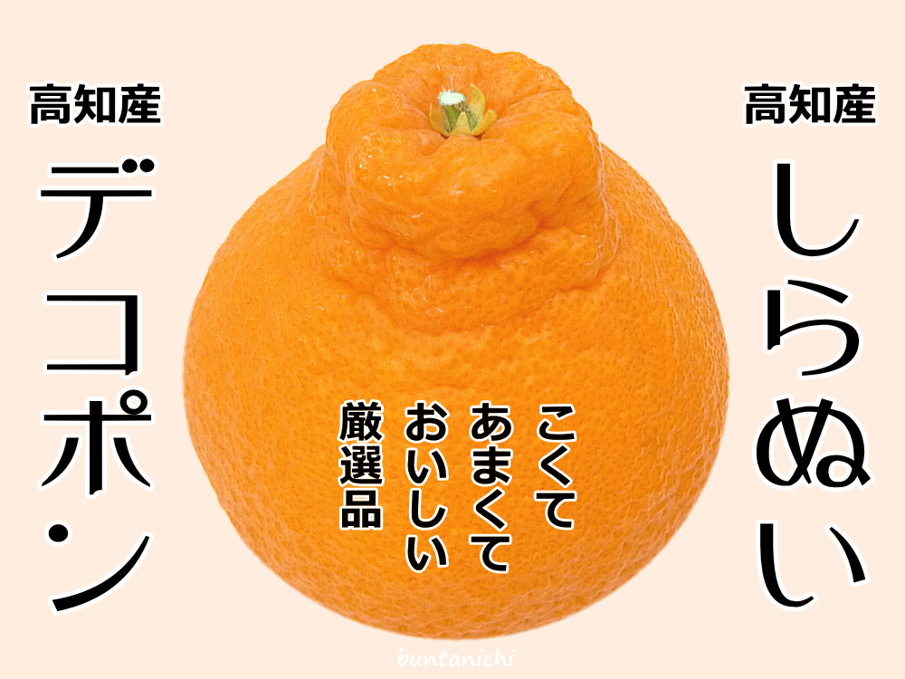 デコポン,しらぬいのメイン画像