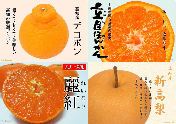高知の厳選の果物たち