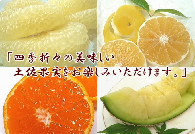 四季折々の土佐果実