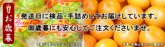 全品発送当日の検品手詰めにて発送しております。