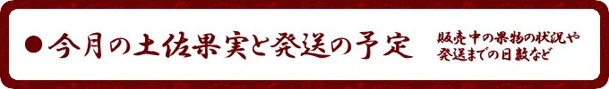 今月の土佐果実のご案内