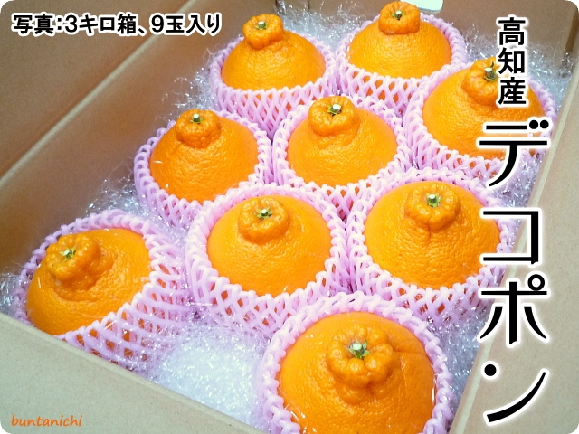 デコポン9玉
