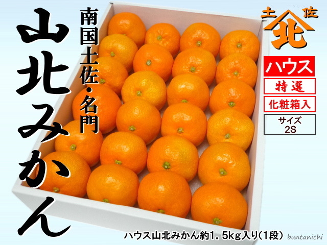 ハウス山北みかん1.5キロ化粧箱入り