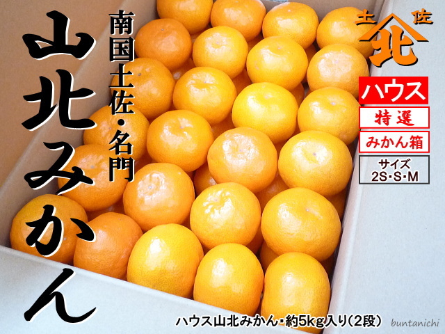 ハウスみかん5キロ入り(みかん箱)
