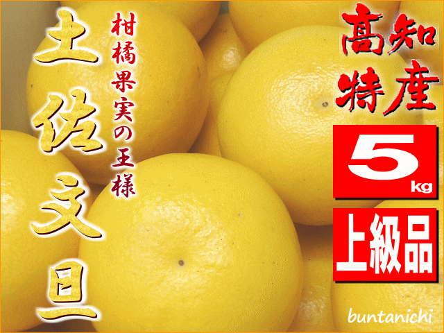 商品画像、土佐文旦