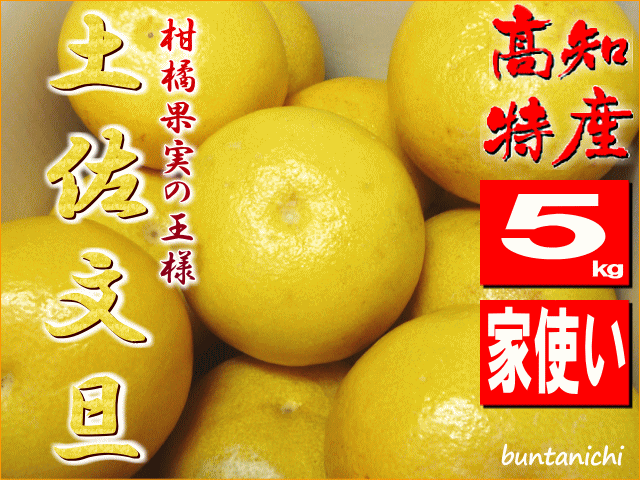 商品画像、土佐文旦
