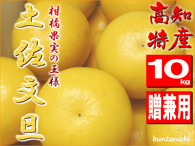 商品画像、土佐文旦