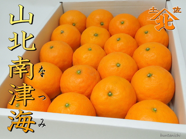 山北なつみ2.5キロ