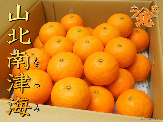 山北なつみ5キロ