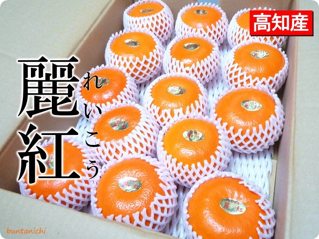 麗紅