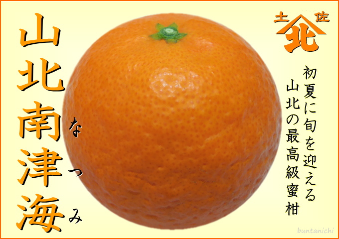 山北のなつみ