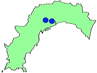 高知県産の新高梨の産地