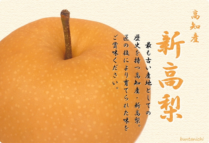 新高梨