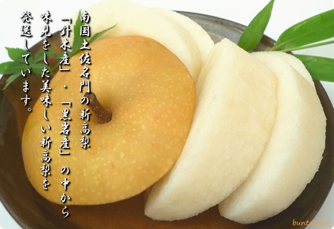 針木と黒岩の新高梨