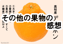 土佐小夏,山北などの評価レビュー