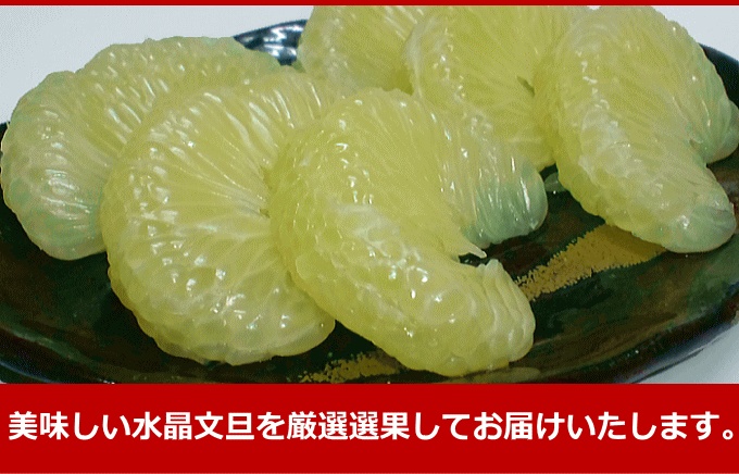 おいしい水晶文旦をお届けします。
