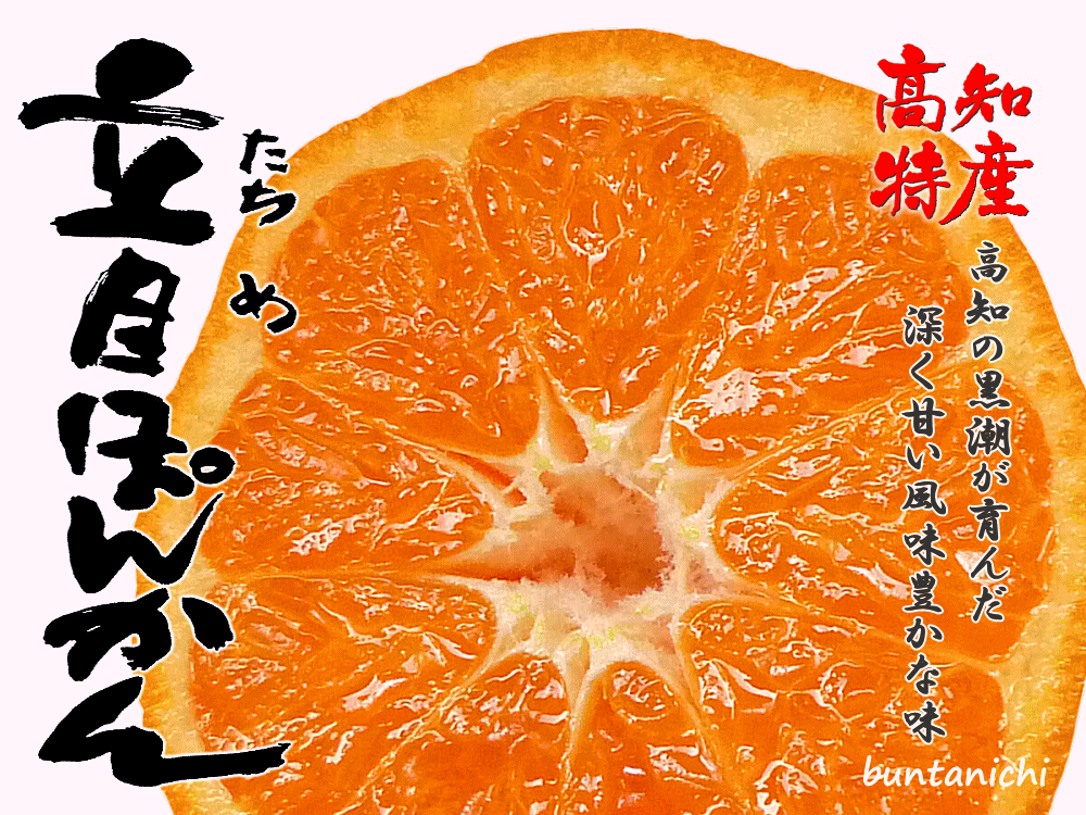 立目ぽんかんのメイン画像