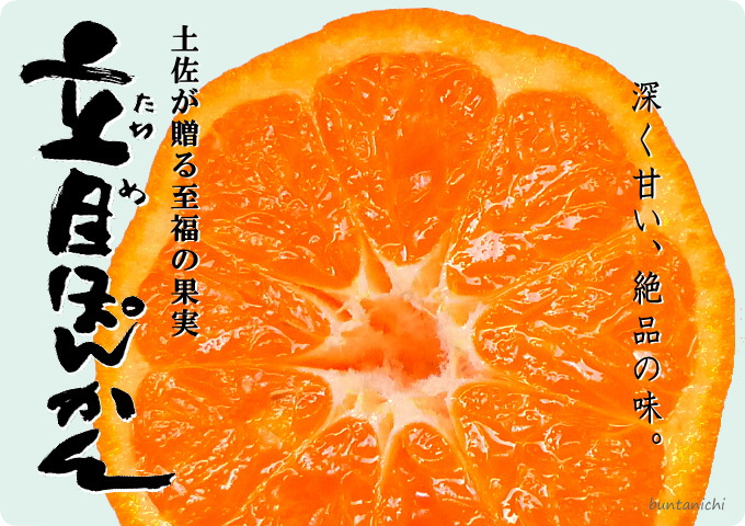 立目ぽんかん