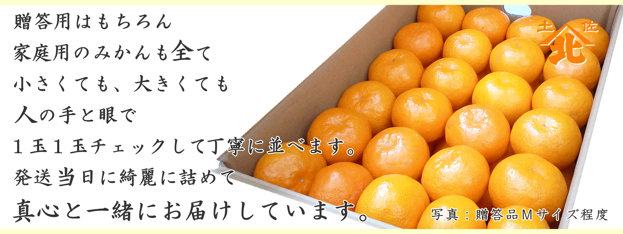 すべての商品を1玉1玉手詰めしています。山北みかんを真心こめてお届けします