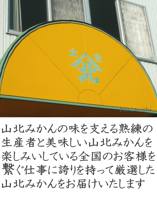 全国のお客様と美味しいみかんを作る生産者を繋ぐ仕事に誇りを持って厳選した山北みかんをお届します