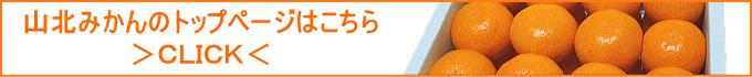 山北みかんのトップページはこちら
