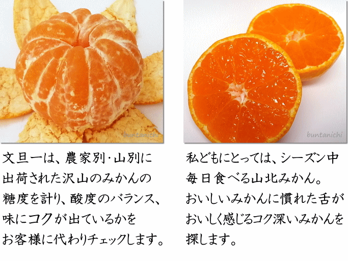 おいしいコク深いみかんをお届けします。