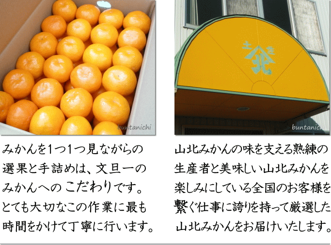 この山北のみかんに誇りと真心を。