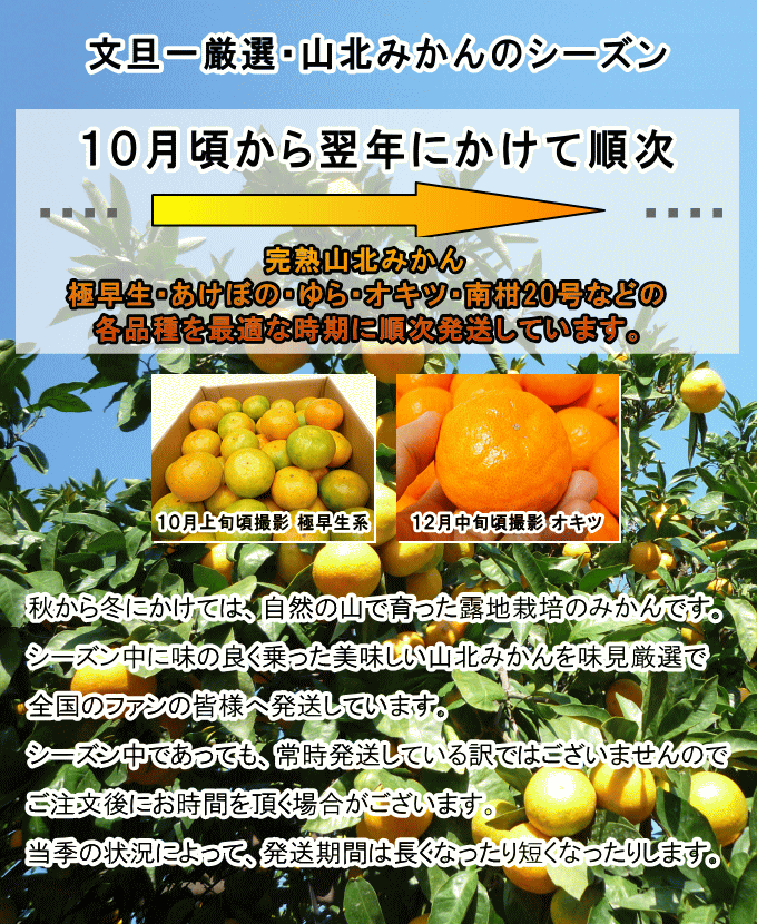 山北みかんのシーズン